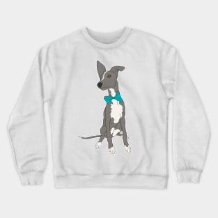 Cute Grey Italian Greyhound with bright teal bow Crewneck Sweatshirt